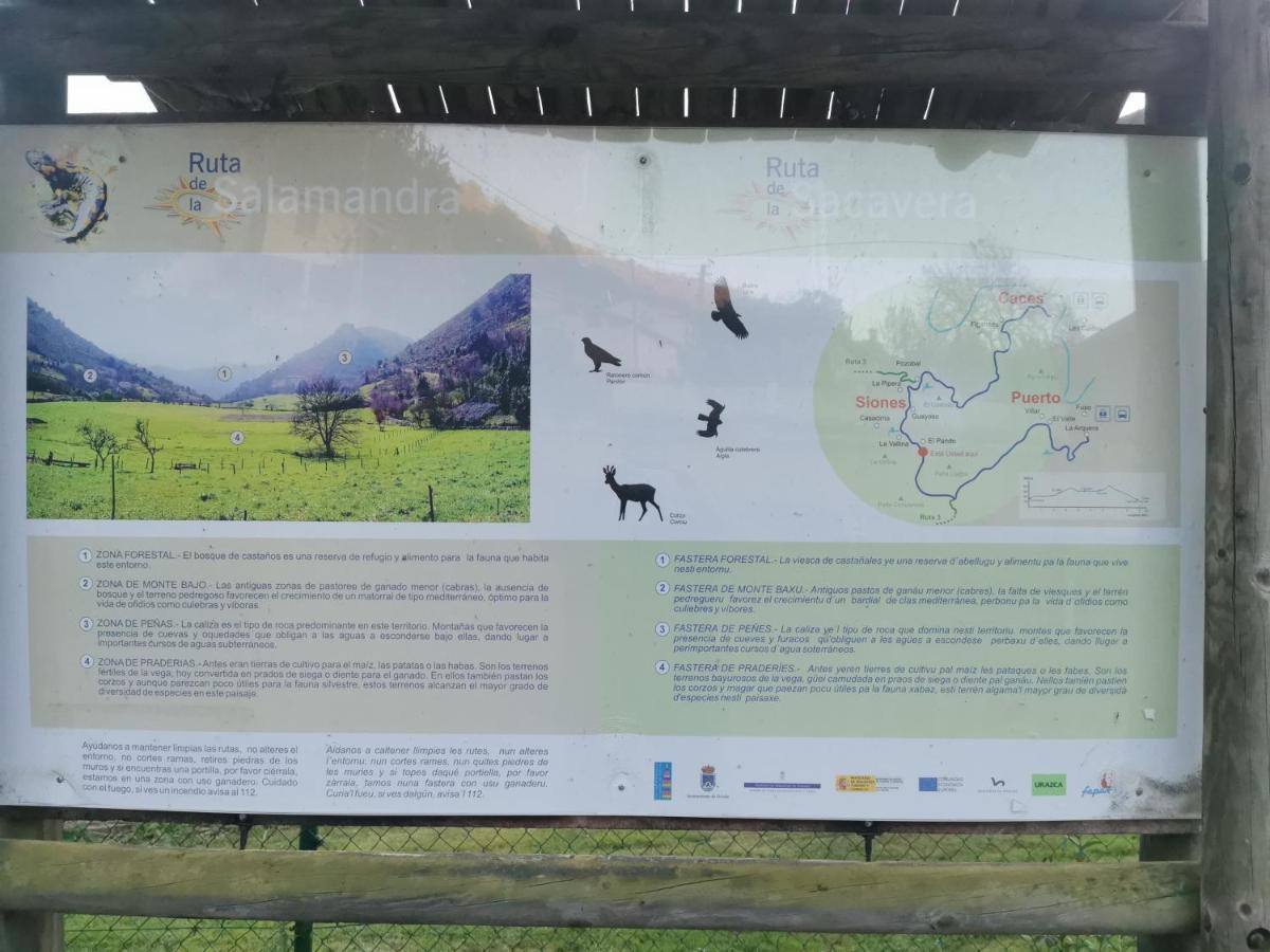 Вилла Casa Pando 49 Siones Экстерьер фото